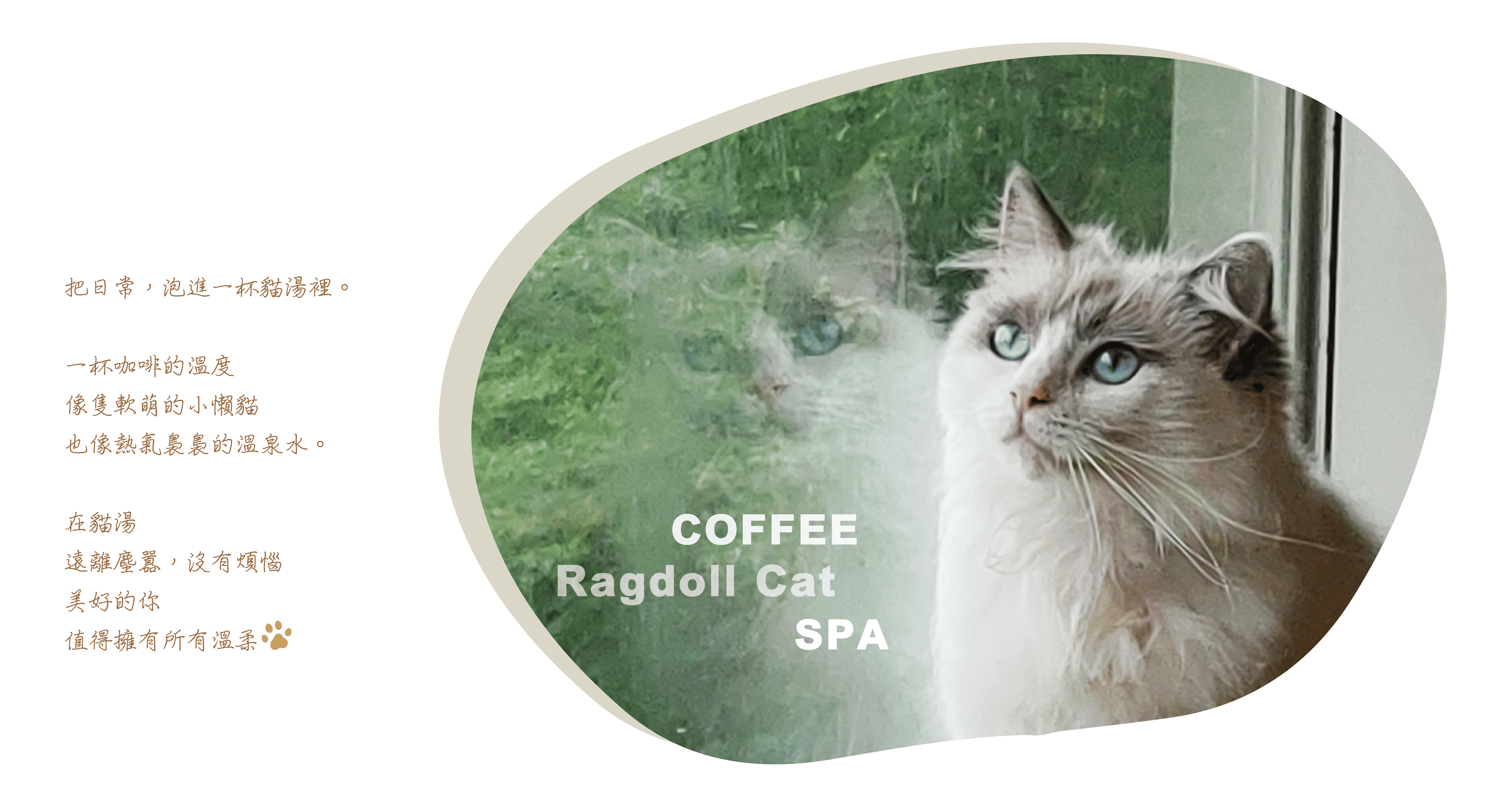 COFFEE Ragdoll 第1張