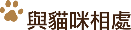 與貓咪相處
