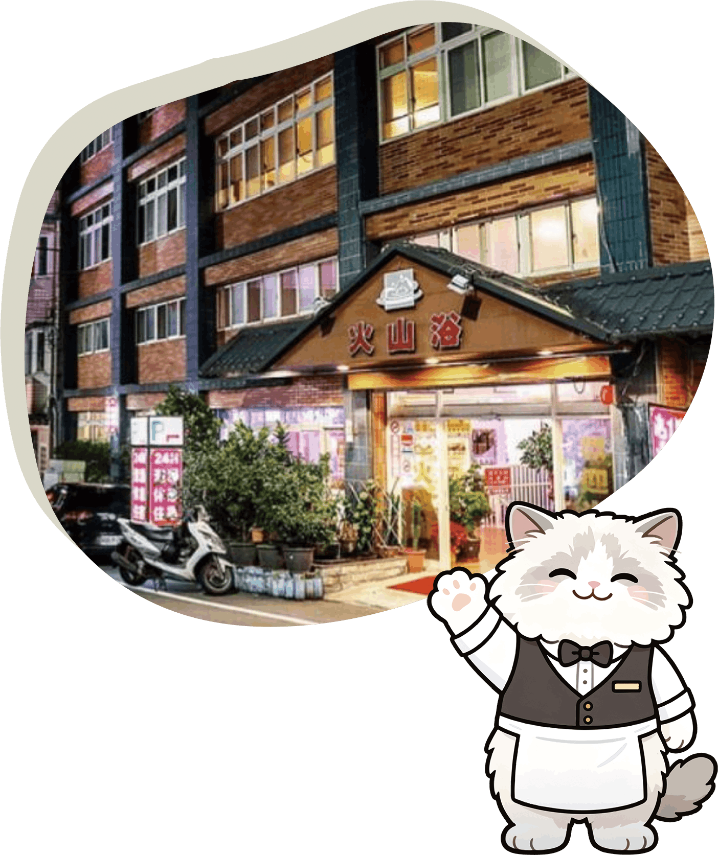 火山浴溫泉會館外觀與店貓