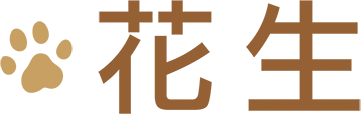 花生